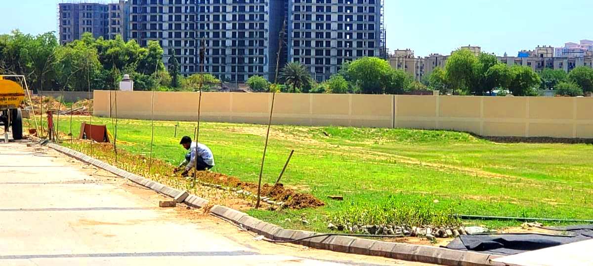 ROF INSIGNIA PARK-II / SECTOR 95